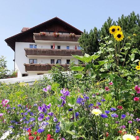 Ferienwohnungen Andreas Schaefler Lindau  Exteriör bild